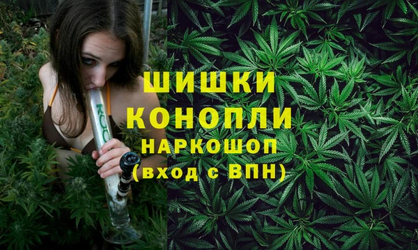 ECSTASY Гусиноозёрск