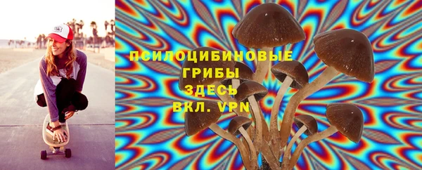 марки nbome Гусев