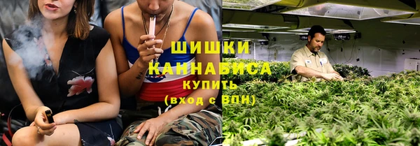 индика Сосновка