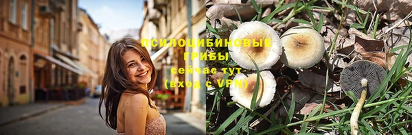ECSTASY Гусиноозёрск