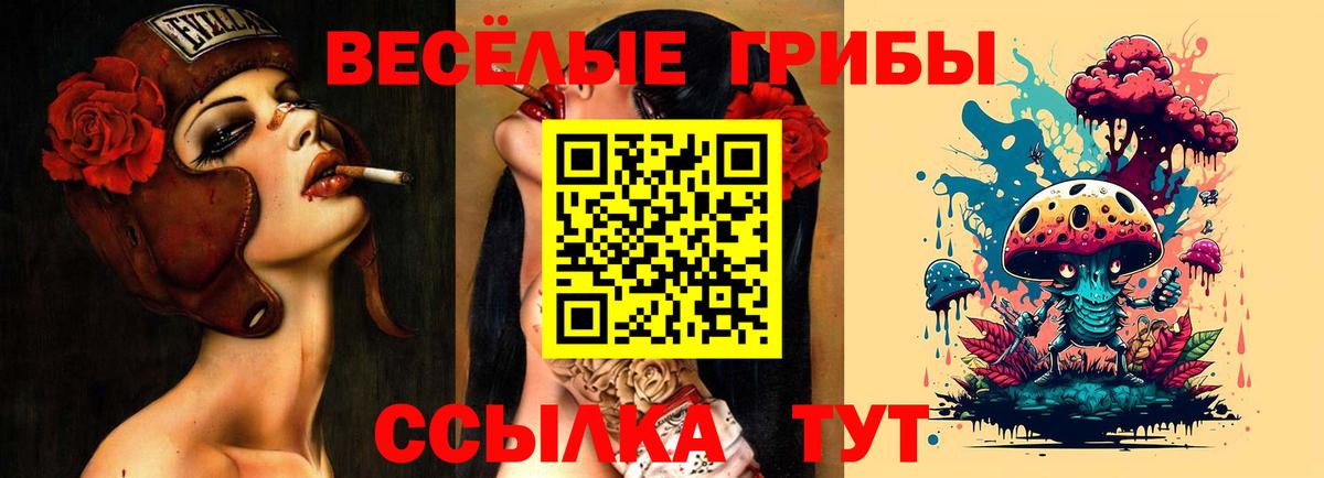 Псилоцибиновые грибы Psilocybe Балаково