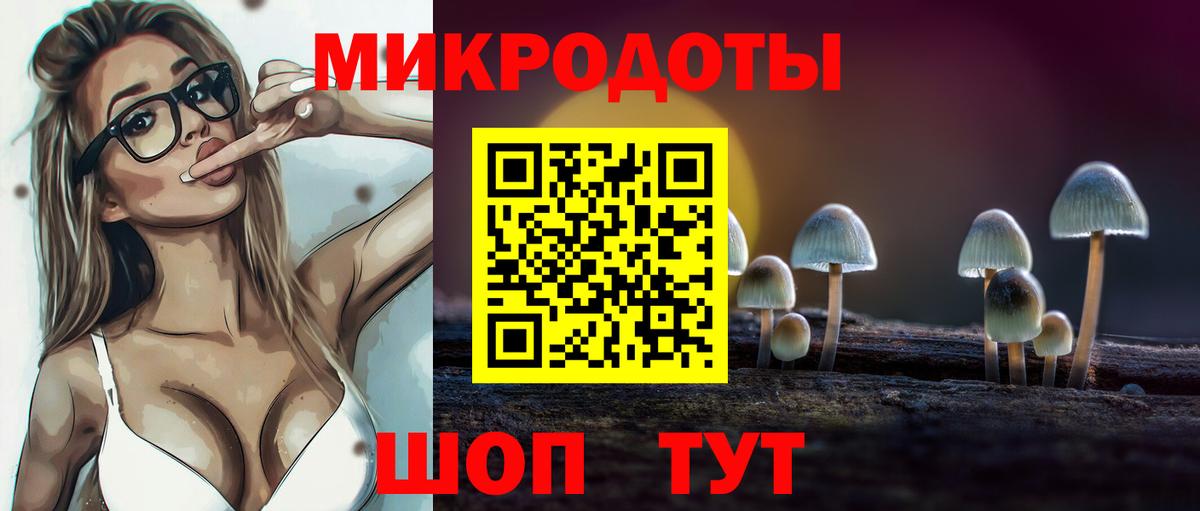Псилоцибиновые грибы мицелий  купить наркотики сайты  Балаково  Вход с VPN  Псилоцибиновые грибы Psilocybine cubensis 