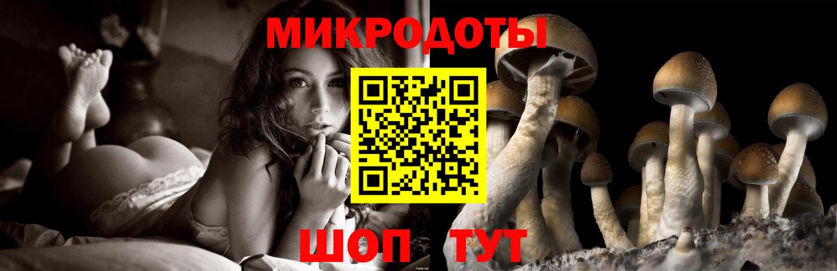 Псилоцибиновые грибы Cubensis Балаково